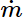 {\dot m}
