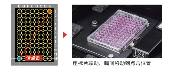 座标台联动，瞬间移动到点击位置