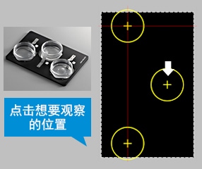 点击想要观察的位置