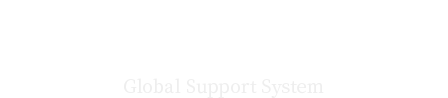 全球支持体系