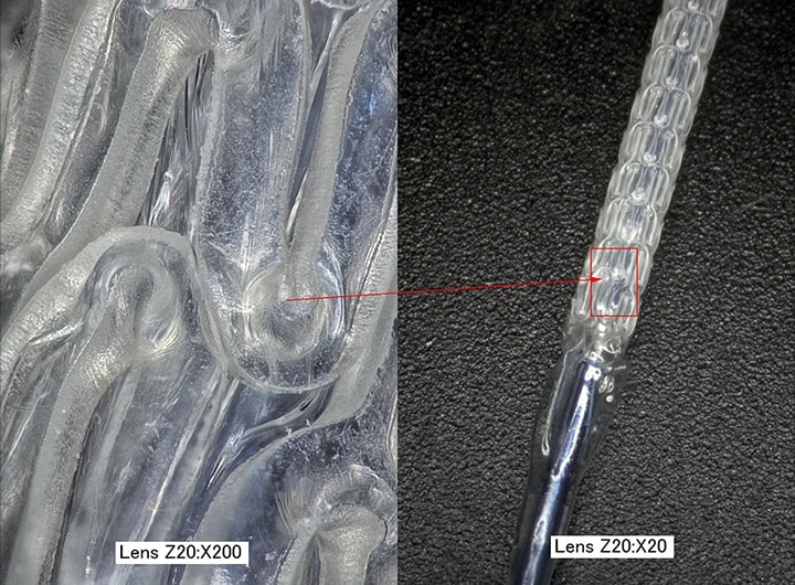 生物可降解性扩张导管支架的放大图像（左：200×/右：20×）