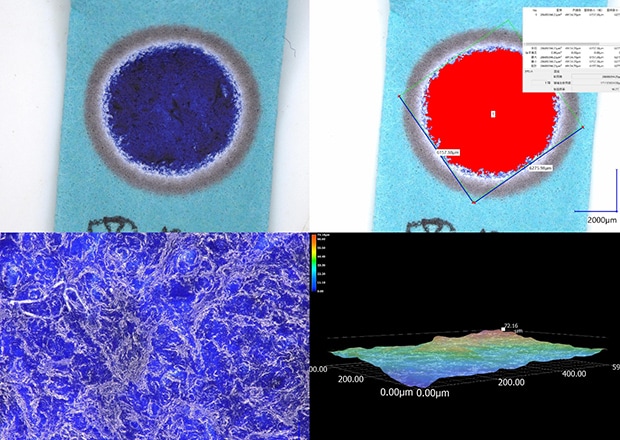 【样品】染色滤光片